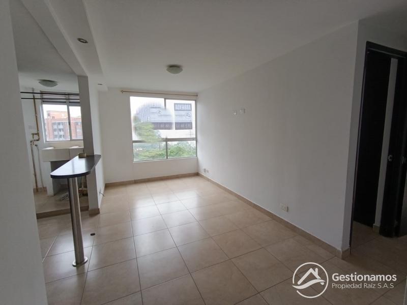 WhatsApp Image 2026-01-14 at 9.26.06 AM.jpeg